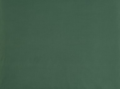 Vorschaubild christian-fischbacher-spannbettlaken-jersey-uni-waldgruen-264