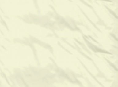 Vorschaubild christian fischbacher bettlaken ohne gummizug satin uni lemonade