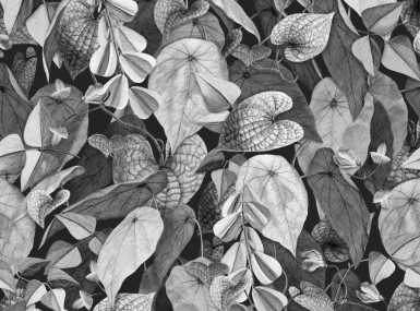 Vorschaubild christian fischbacher tapete botanica 200339 detail1